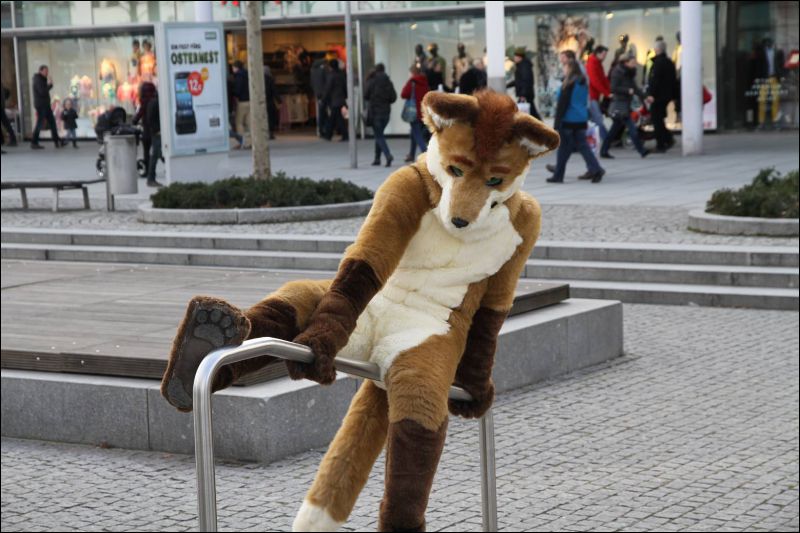 [Dresden_Furmeet_23032013_Fynnian (191).JPG]