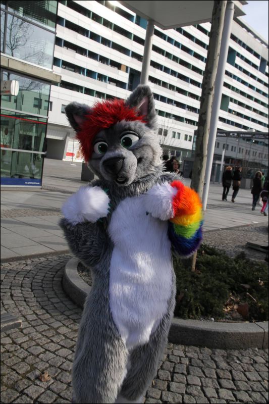 [Dresden_Furmeet_23032013_Fynnian (193).JPG]