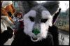 [Dresden Furmeet 23032013 Fynnian (200)]