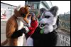 [Dresden Furmeet 23032013 Fynnian (201)]