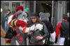 [Dresden Furmeet 23032013 Fynnian (207)]