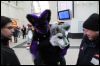 [Dresden Furmeet 23032013 Fynnian (209)]