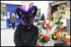 [Dresden Furmeet 23032013 Fynnian (214)]