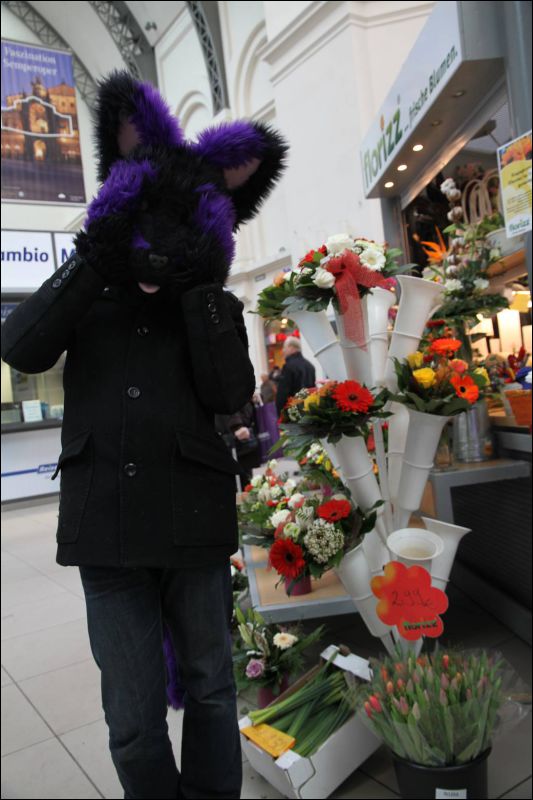 [Dresden_Furmeet_23032013_Fynnian (215).JPG]