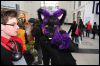 [Dresden Furmeet 23032013 Fynnian (216)]