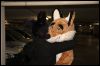 [Dresden Furmeet 23032013 Fynnian (23)]