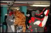 [Dresden Furmeet 23032013 Fynnian (26)]