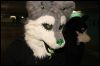 [Dresden Furmeet 23032013 Fynnian (28)]