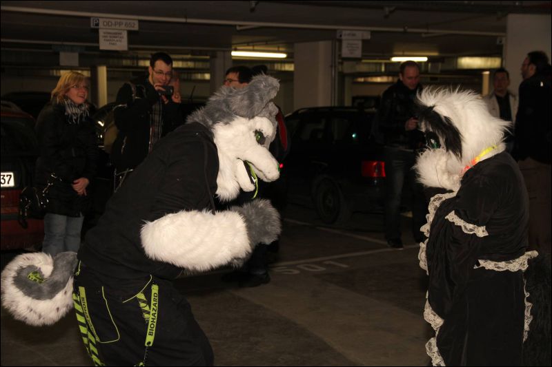 [Dresden_Furmeet_23032013_Fynnian (31).JPG]