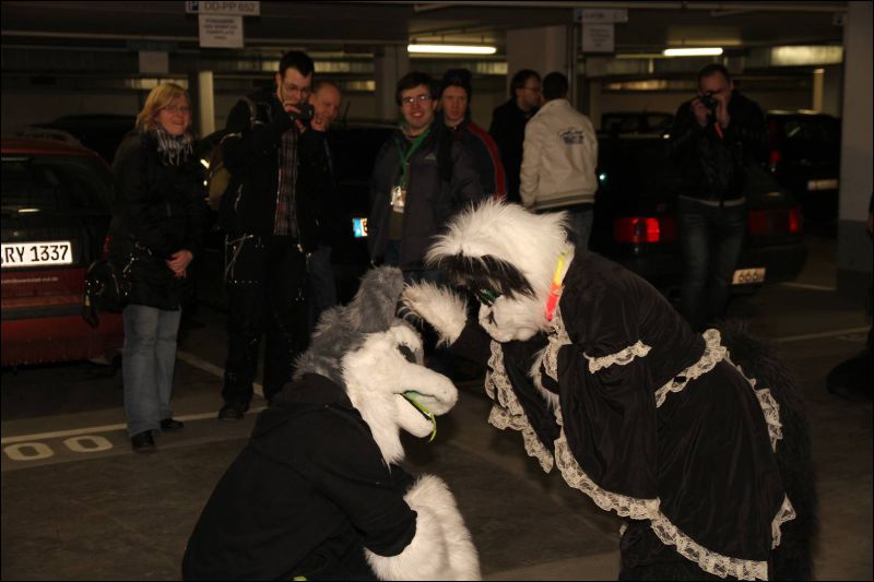 [Dresden_Furmeet_23032013_Fynnian (32).JPG]