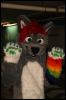 [Dresden Furmeet 23032013 Fynnian (36)]