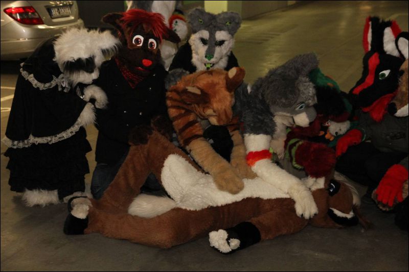 [Dresden_Furmeet_23032013_Fynnian (39).JPG]