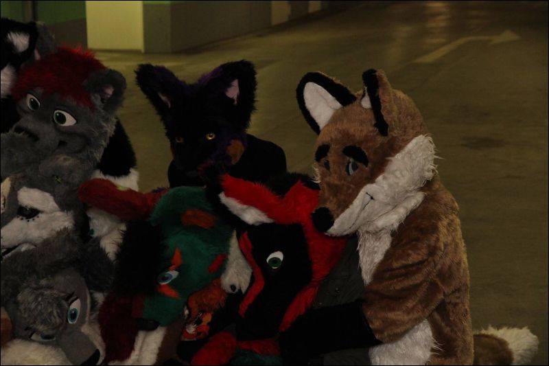 [Dresden_Furmeet_23032013_Fynnian (41).JPG]