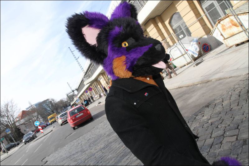 [Dresden_Furmeet_23032013_Fynnian (46).JPG]