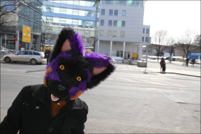 [Dresden_Furmeet_23032013_Fynnian (47).JPG]