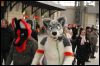 [Dresden Furmeet 23032013 Fynnian (50)]