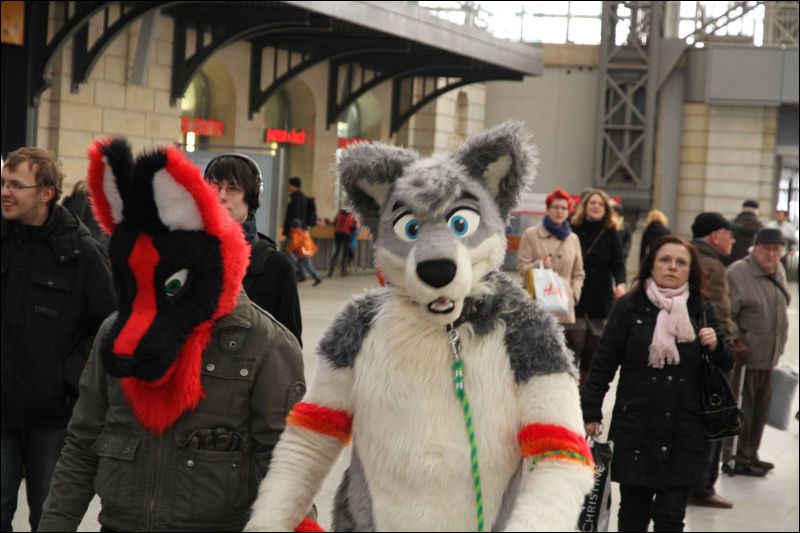 [Dresden_Furmeet_23032013_Fynnian (50).JPG]