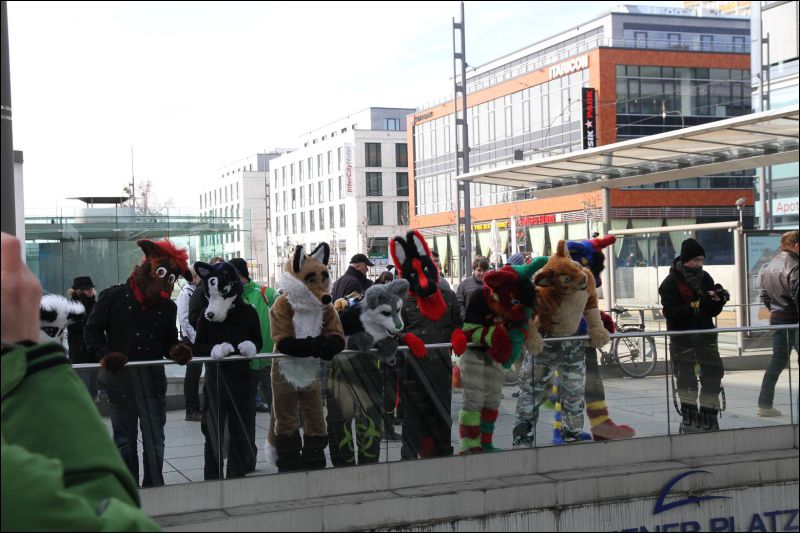 [Dresden_Furmeet_23032013_Fynnian (52).JPG]