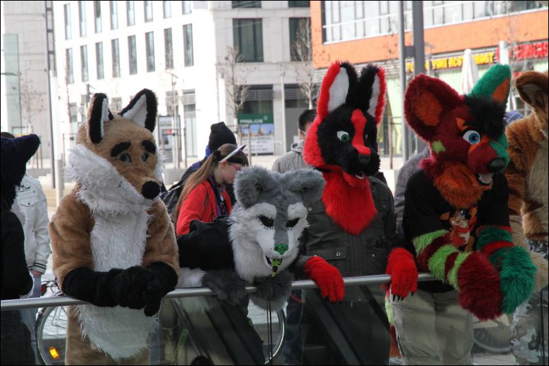 [Dresden_Furmeet_23032013_Fynnian (53).JPG]