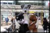 [Dresden Furmeet 23032013 Fynnian (60)]