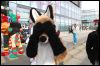 [Dresden Furmeet 23032013 Fynnian (66)]