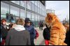 [Dresden Furmeet 23032013 Fynnian (67)]