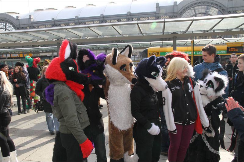 [Dresden_Furmeet_23032013_Fynnian (68).JPG]