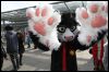 [Dresden Furmeet 23032013 Fynnian (70)]