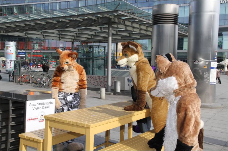 [Dresden_Furmeet_23032013_Fynnian (74).JPG]