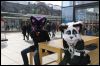 [Dresden Furmeet 23032013 Fynnian (77)]