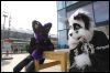 [Dresden Furmeet 23032013 Fynnian (78)]