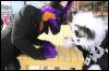 [Dresden Furmeet 23032013 Fynnian (79)]