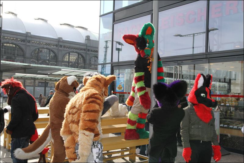 [Dresden_Furmeet_23032013_Fynnian (84).JPG]