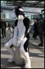 [Dresden Furmeet 23032013 Fynnian (88)]