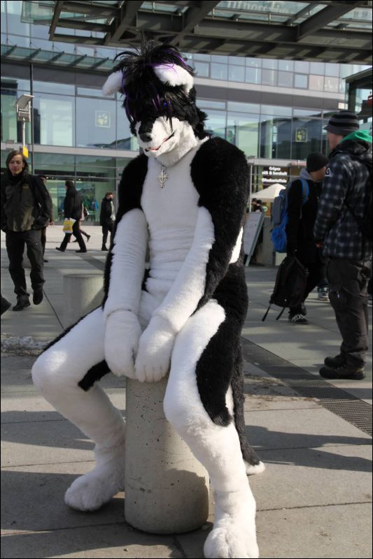 [Dresden_Furmeet_23032013_Fynnian (88).JPG]