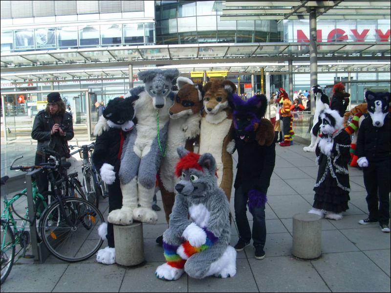 [Dresden_Furmeet_23032013_Gruenfuchs (12).JPG]