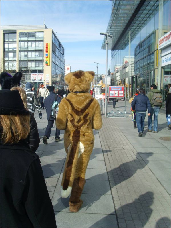 [Dresden_Furmeet_23032013_Gruenfuchs (29).JPG]