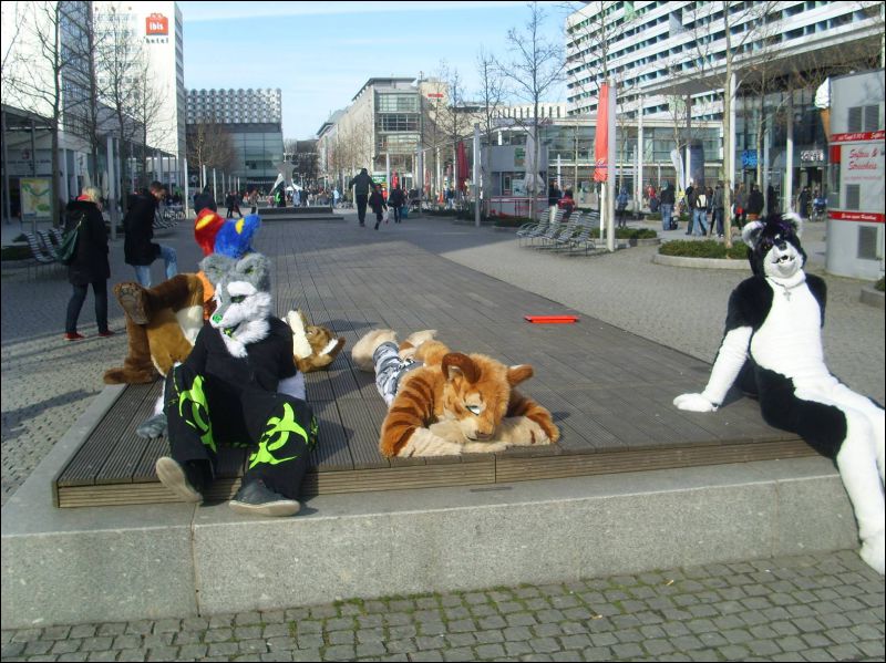 [Dresden_Furmeet_23032013_Gruenfuchs (40).JPG]