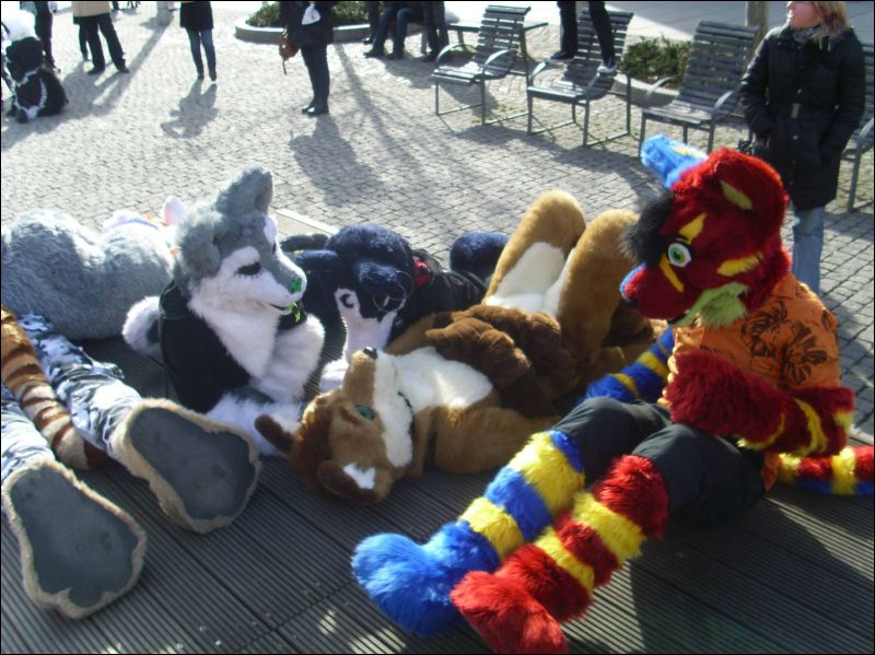 [Dresden_Furmeet_23032013_Gruenfuchs (41).JPG]