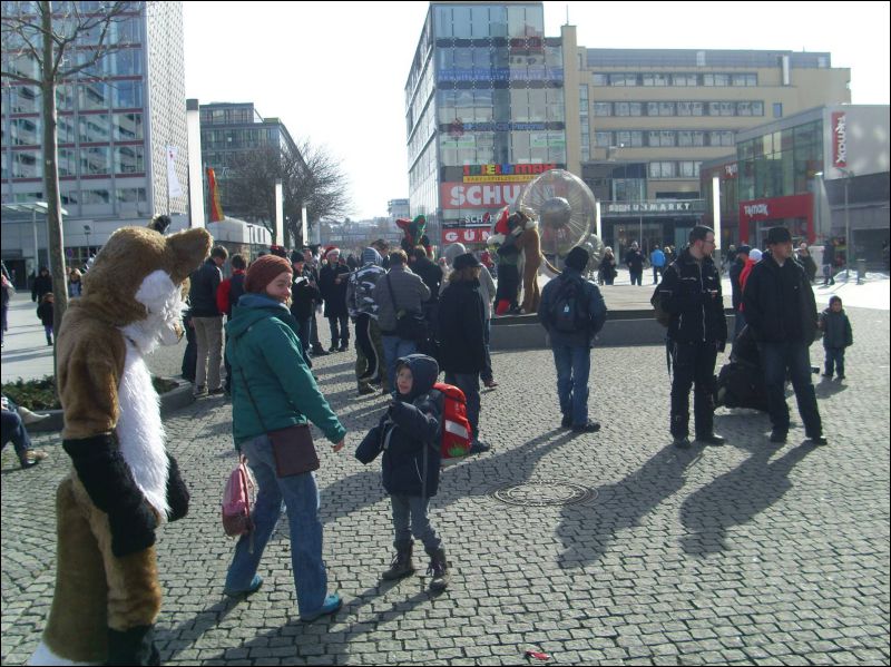 [Dresden_Furmeet_23032013_Gruenfuchs (42).JPG]