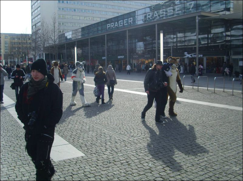 [Dresden_Furmeet_23032013_Gruenfuchs (45).JPG]