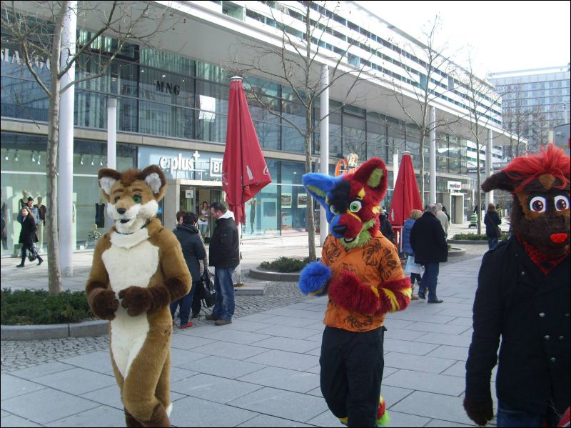 [Dresden_Furmeet_23032013_Gruenfuchs (48).JPG]