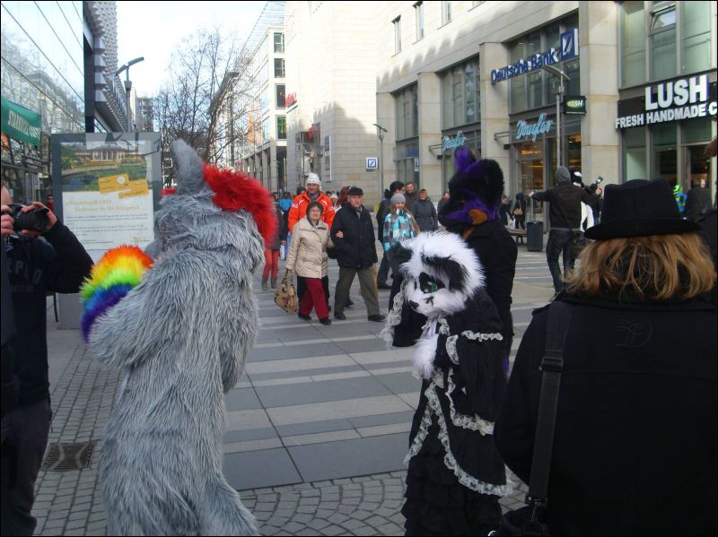 [Dresden_Furmeet_23032013_Gruenfuchs (50).JPG]