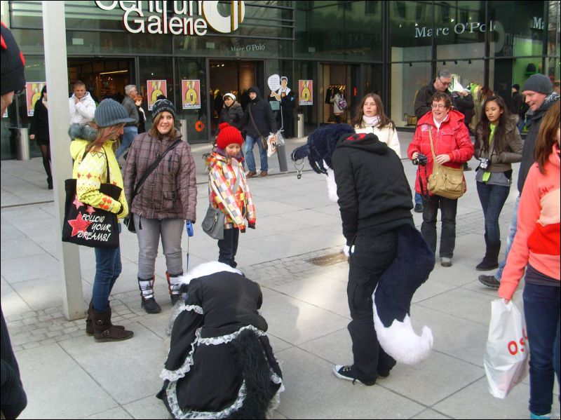 [Dresden_Furmeet_23032013_Gruenfuchs (51).JPG]