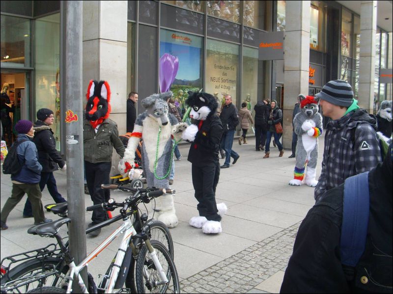 [Dresden_Furmeet_23032013_Gruenfuchs (55).JPG]