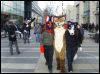 [Dresden Furmeet 23032013 Gruenfuchs (64)]