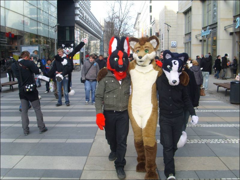 [Dresden_Furmeet_23032013_Gruenfuchs (64).JPG]