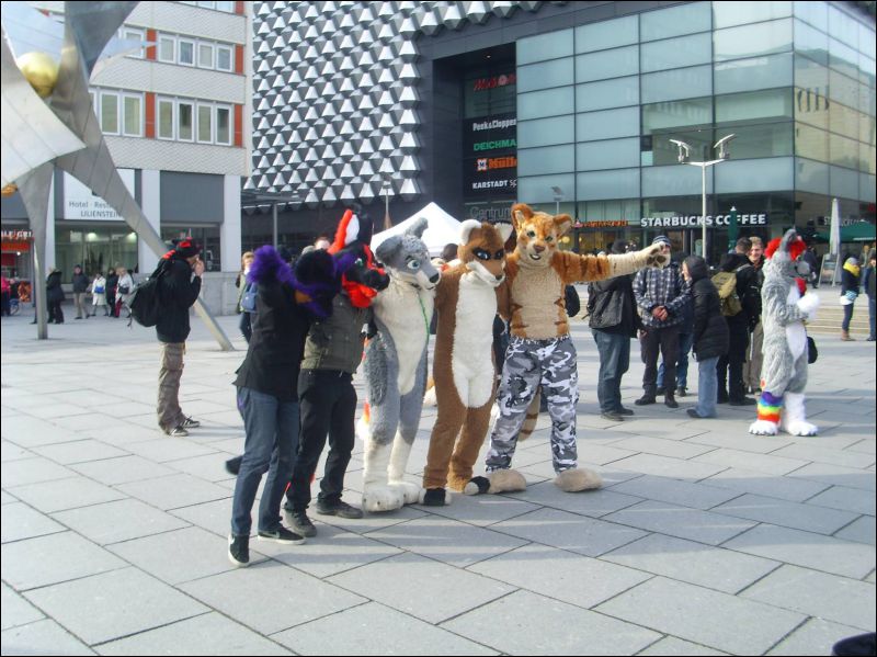 [Dresden_Furmeet_23032013_Gruenfuchs (72).JPG]