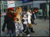 [Dresden Furmeet 23032013 Gruenfuchs (77)]