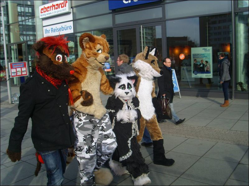 [Dresden_Furmeet_23032013_Gruenfuchs (77).JPG]